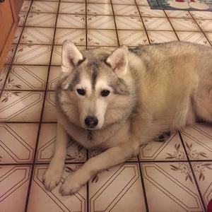 Meet your Posher, Deb